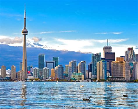 flights from toronto to st louis|Cheap Flights from Toronto to St Louis .